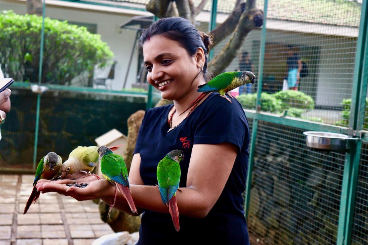 Manas Resort With Petting Zoo, Igatpuri Esterno foto