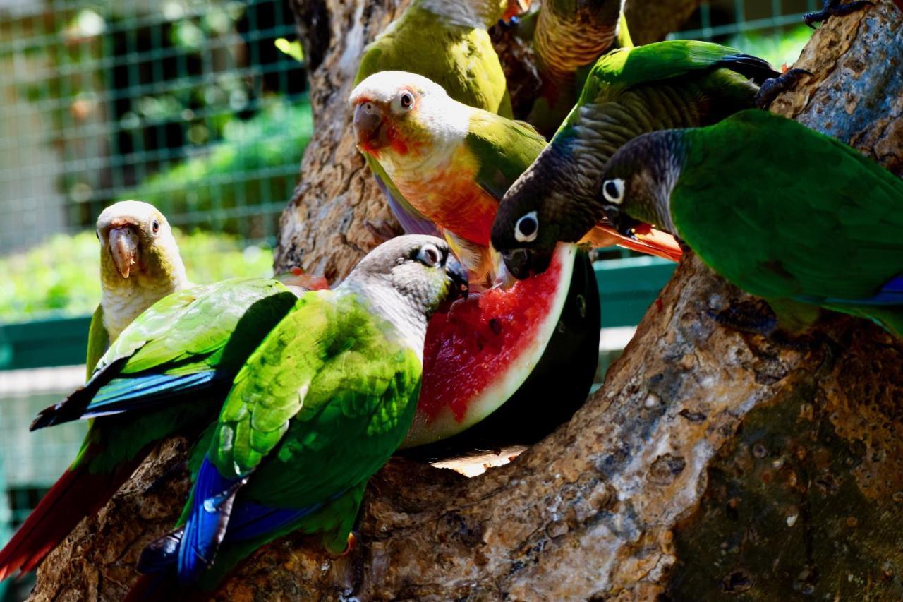 Manas Resort With Petting Zoo, Igatpuri Esterno foto